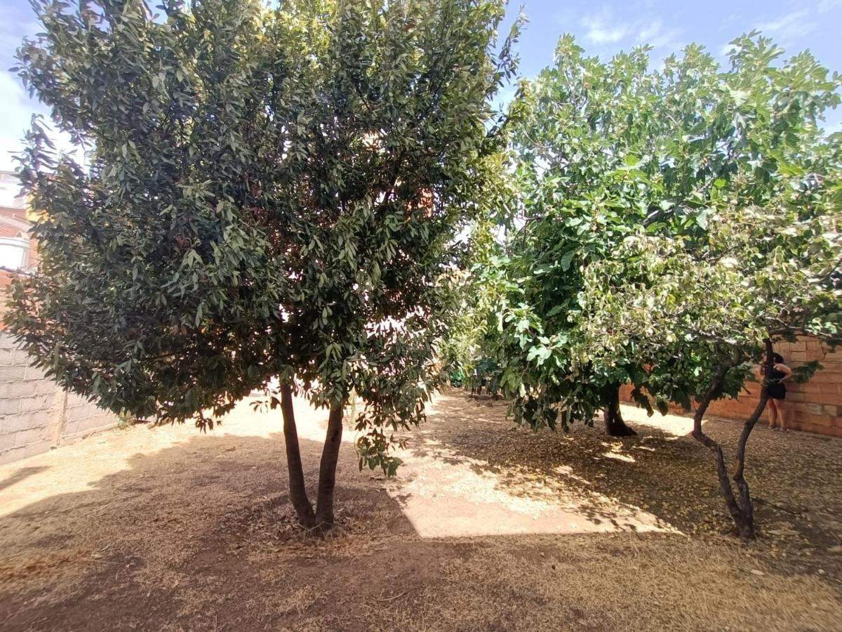 Vivienda Rural Los Iberos M&M, Castellar de Santisteban Екстериор снимка